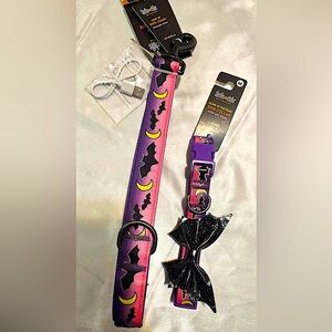 Thrills & Chills Bat Collar and Matching Light Up Bat Leash (M)